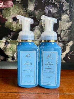 NEW 2-Pc CRISP MORNING AIR Foaming Hand Soap Bath & Body Works
